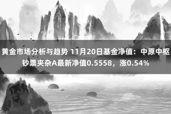 黄金市场分析与趋势 11月20日基金净值：中原中枢钞票夹杂A最新净值0.5558，涨0.54%