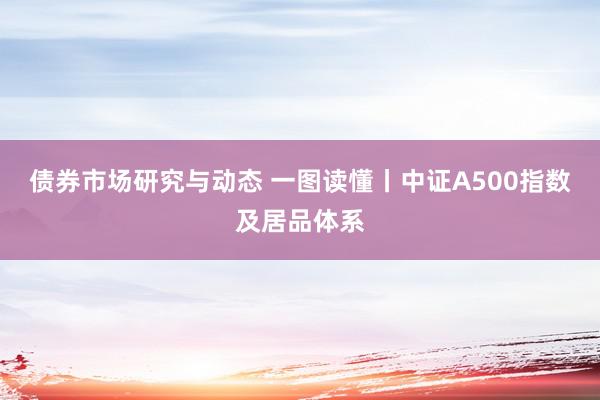 债券市场研究与动态 一图读懂丨中证A500指数及居品体系