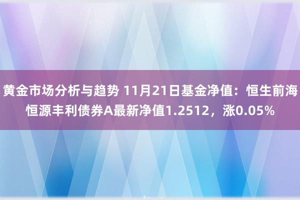 黄金市场分析与趋势 11月21日基金净值：恒生前海恒源丰利债券A最新净值1.2512，涨0.05%