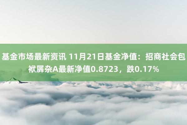 基金市场最新资讯 11月21日基金净值：招商社会包袱羼杂A最新净值0.8723，跌0.17%