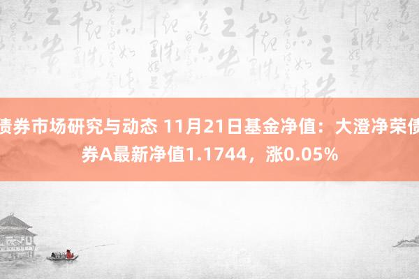 债券市场研究与动态 11月21日基金净值：大澄净荣债券A最新净值1.1744，涨0.05%