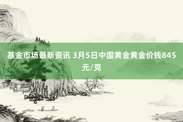 基金市场最新资讯 3月5日中国黄金黄金价钱845元/克