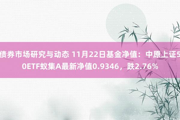 债券市场研究与动态 11月22日基金净值：中原上证50ETF蚁集A最新净值0.9346，跌2.76%