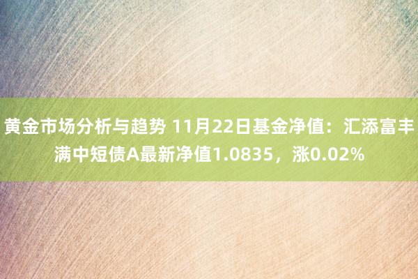 黄金市场分析与趋势 11月22日基金净值：汇添富丰满中短债A最新净值1.0835，涨0.02%