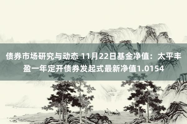 债券市场研究与动态 11月22日基金净值：太平丰盈一年定开债券发起式最新净值1.0154