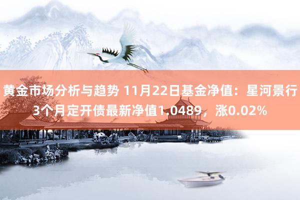 黄金市场分析与趋势 11月22日基金净值：星河景行3个月定开债最新净值1.0489，涨0.02%