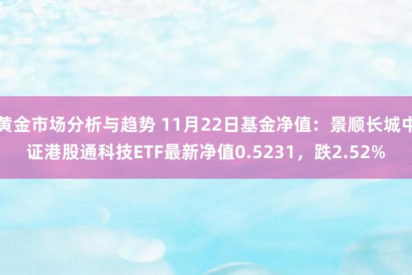 黄金市场分析与趋势 11月22日基金净值：景顺长城中证港股通科技ETF最新净值0.5231，跌2.52%