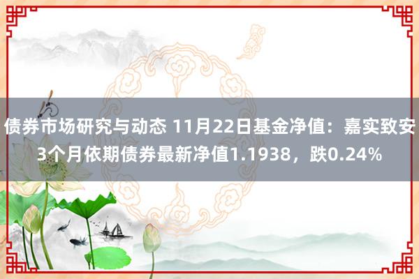 债券市场研究与动态 11月22日基金净值：嘉实致安3个月依期债券最新净值1.1938，跌0.24%