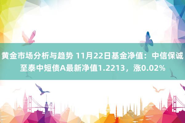 黄金市场分析与趋势 11月22日基金净值：中信保诚至泰中短债A最新净值1.2213，涨0.02%