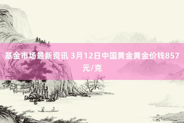 基金市场最新资讯 3月12日中国黄金黄金价钱857元/克