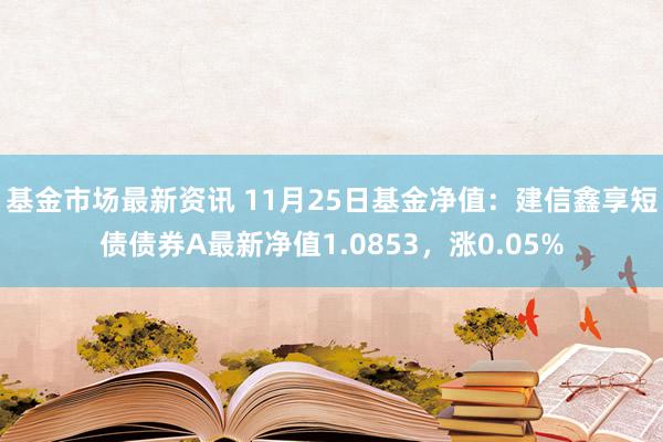 基金市场最新资讯 11月25日基金净值：建信鑫享短债债券A最新净值1.0853，涨0.05%