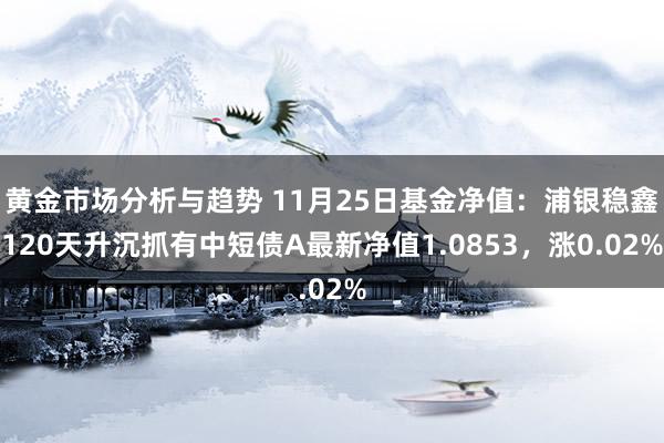 黄金市场分析与趋势 11月25日基金净值：浦银稳鑫120天升沉抓有中短债A最新净值1.0853，涨0.02%