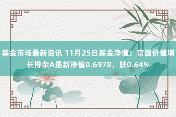 基金市场最新资讯 11月25日基金净值：富国价值增长搀杂A最新净值0.6978，跌0.64%