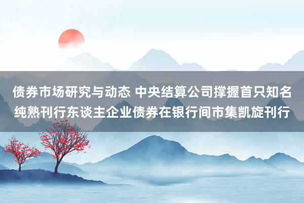 债券市场研究与动态 中央结算公司撑握首只知名纯熟刊行东谈主企业债券在银行间市集凯旋刊行