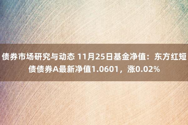 债券市场研究与动态 11月25日基金净值：东方红短债债券A最新净值1.0601，涨0.02%