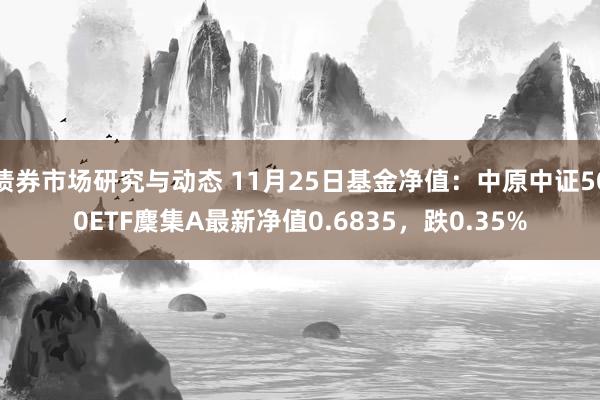 债券市场研究与动态 11月25日基金净值：中原中证500ETF麇集A最新净值0.6835，跌0.35%