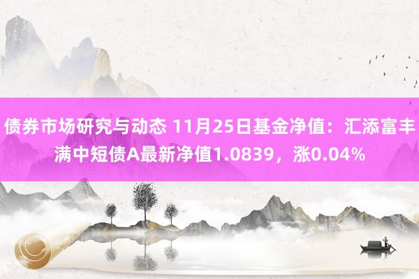 债券市场研究与动态 11月25日基金净值：汇添富丰满中短债A最新净值1.0839，涨0.04%