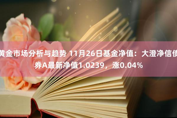 黄金市场分析与趋势 11月26日基金净值：大澄净信债券A最新净值1.0239，涨0.04%