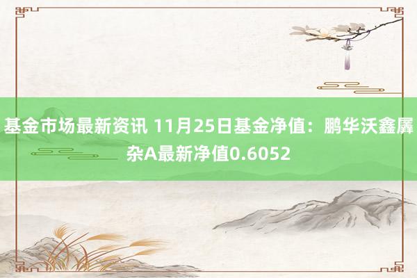 基金市场最新资讯 11月25日基金净值：鹏华沃鑫羼杂A最新净值0.6052